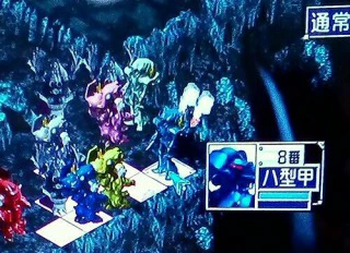 青脇侍ならアイリスでも.jpg
